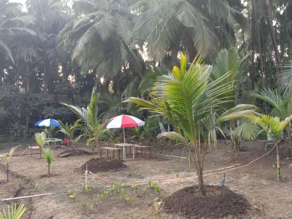 undefined Ballaleshwar cottage 5