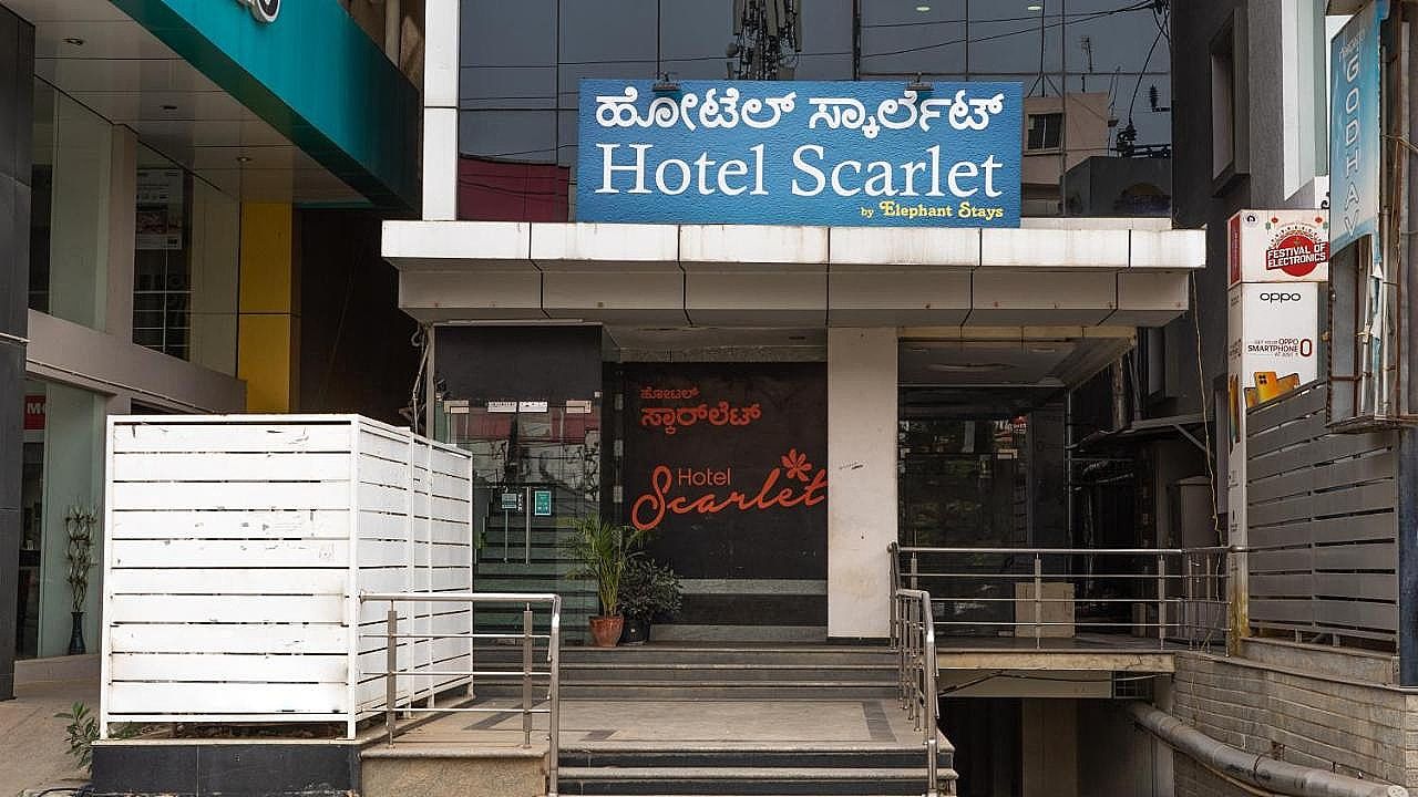 undefined Hotel Scarlet 5