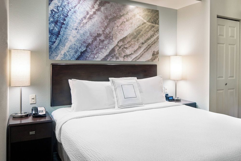 Suite, 1 King Bed with Sofa bed