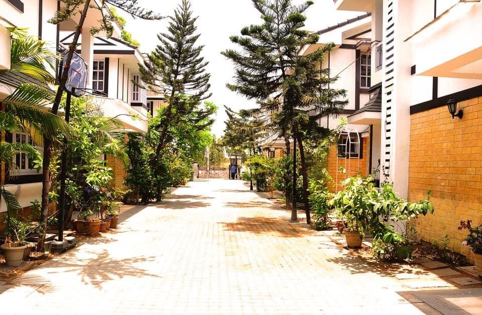 undefined Ivory Grande