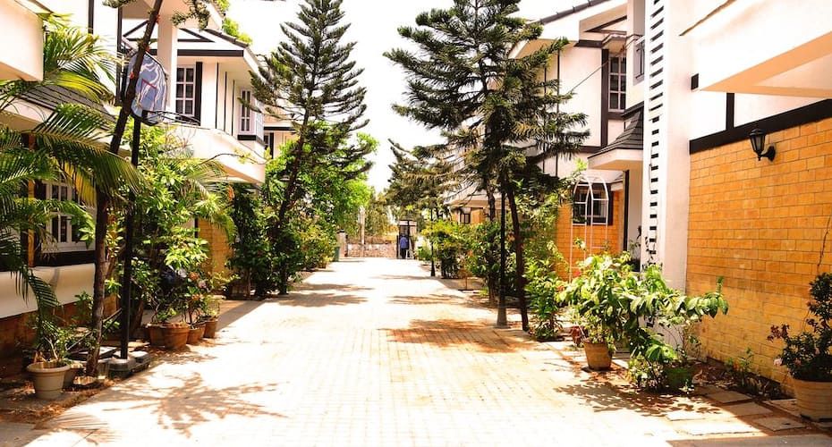 undefined Ivory Grande 2