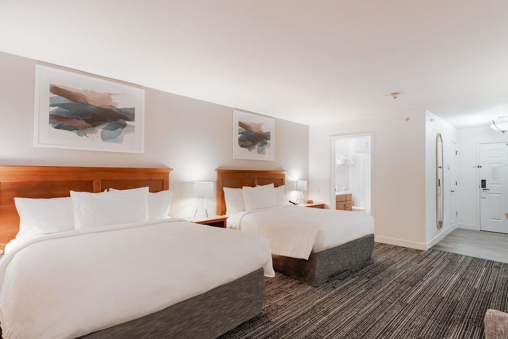 Studio, Multiple Beds, Non Smoking