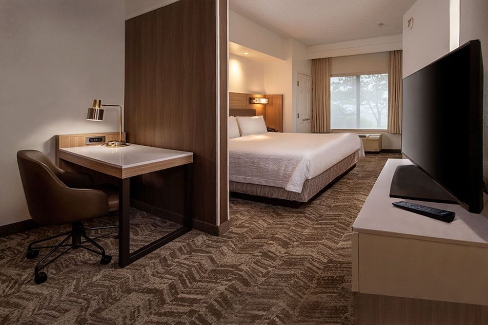 Suite, 1 King Bed with Sofa bed (Hearing Accessible)