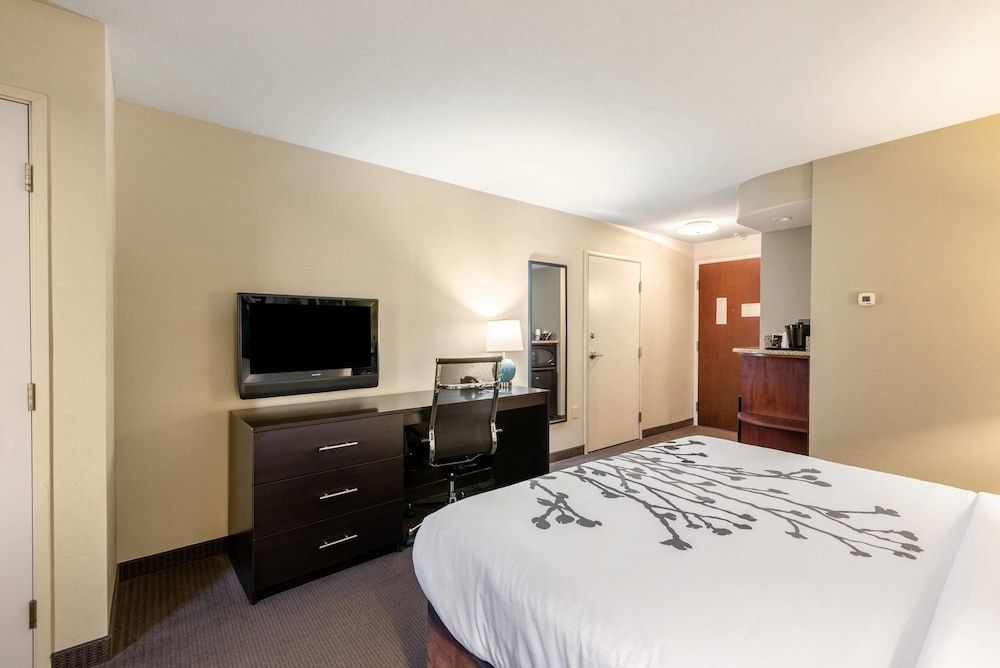 Comfort Room, 1 King Bed, Accessible, Non Smoking