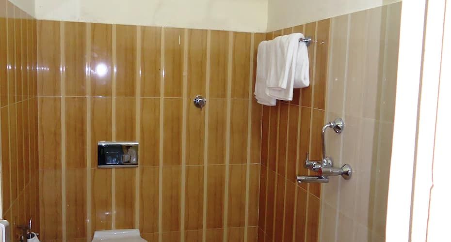 undefined Hotel Amarpali 9
