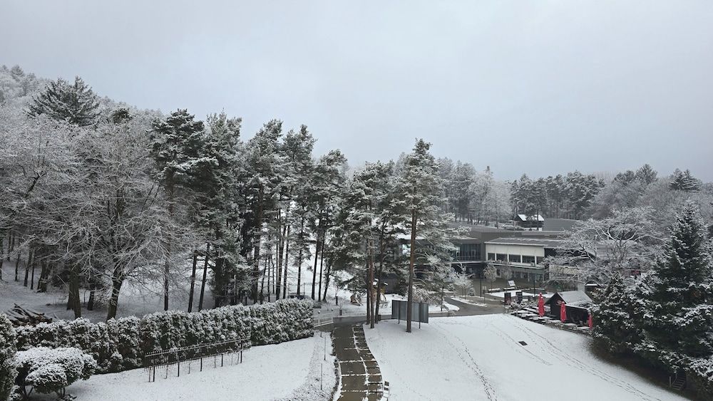 Hotel Habakuk Superior Double Room 4