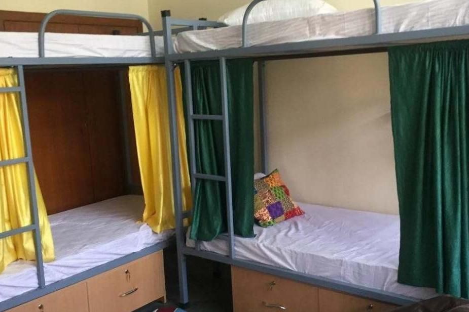 undefined Doodle Rack 4