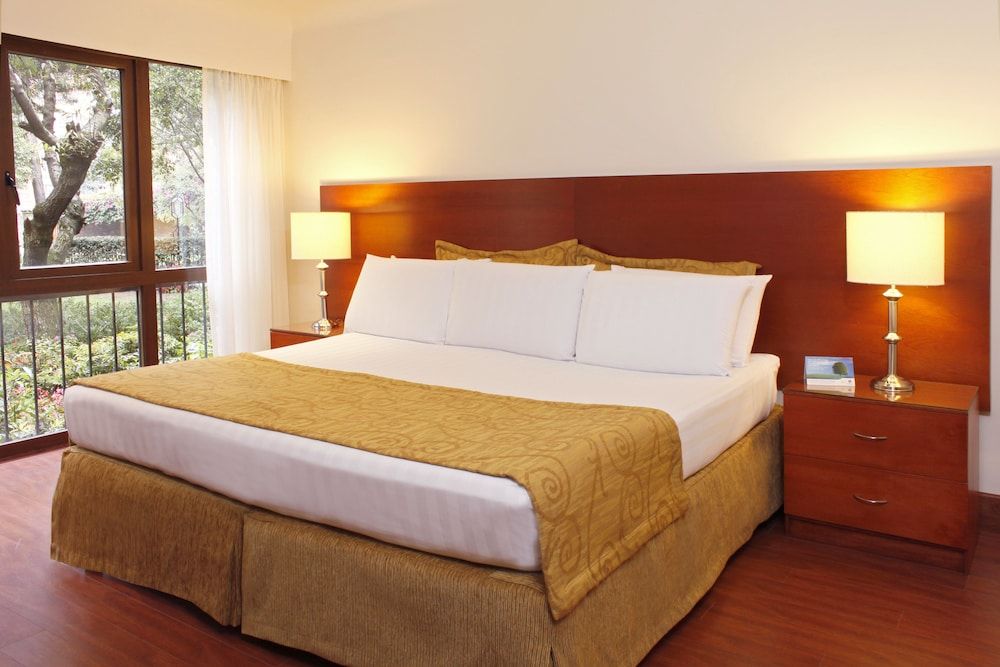 Junior Apartment, 1 King Bed (ApartaJunior 1 King Bed)