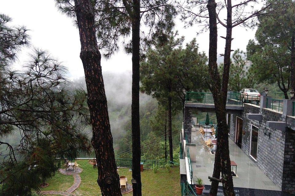 deck_nestled_in_pine_gwTiVV