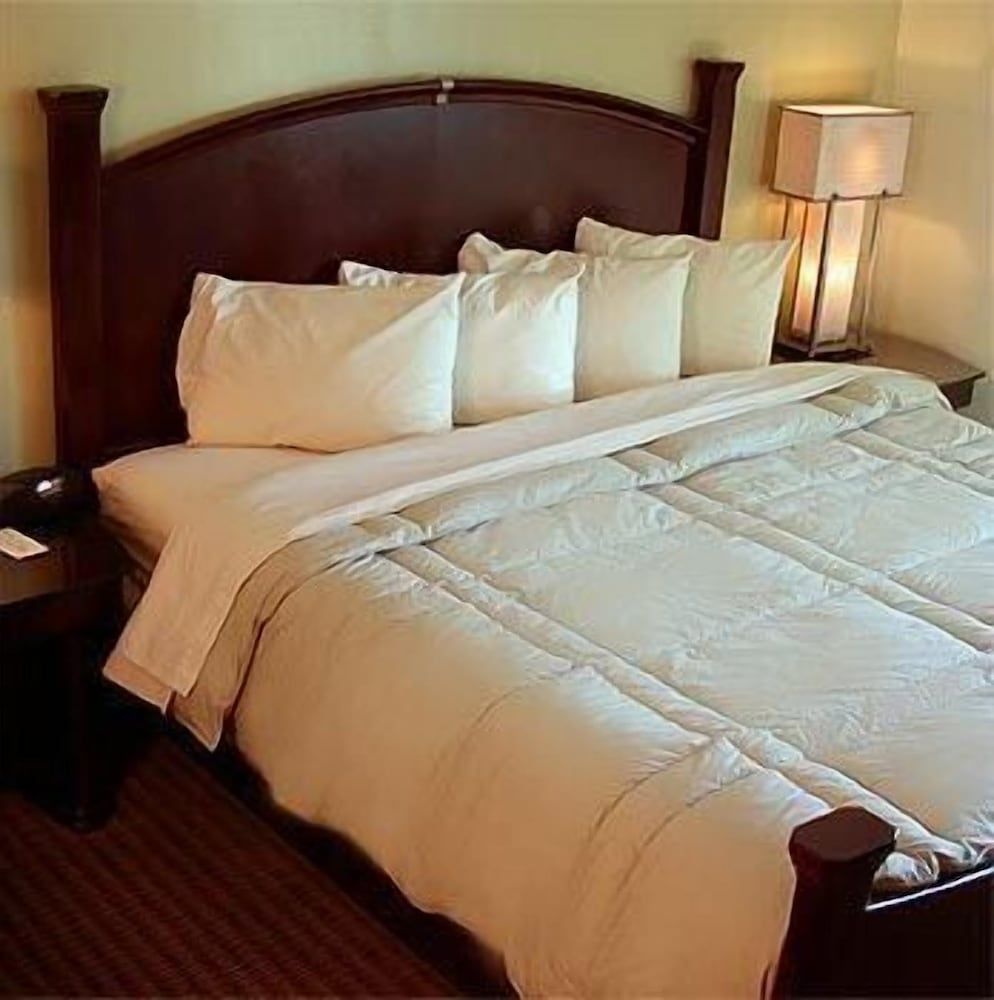 Marvin's Garden Inn Deluxe Room, 1 Queen Bed 5