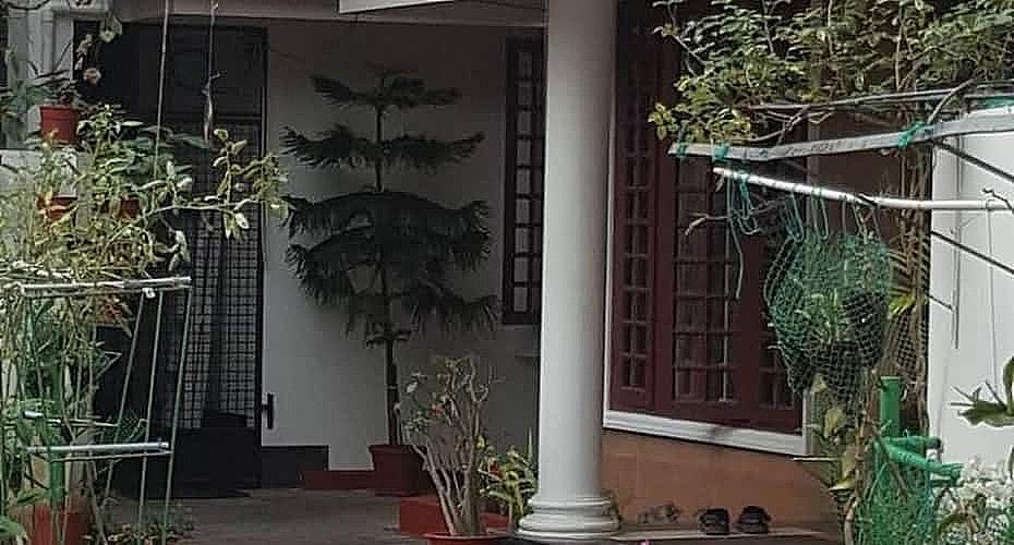 undefined Birds Nest 10