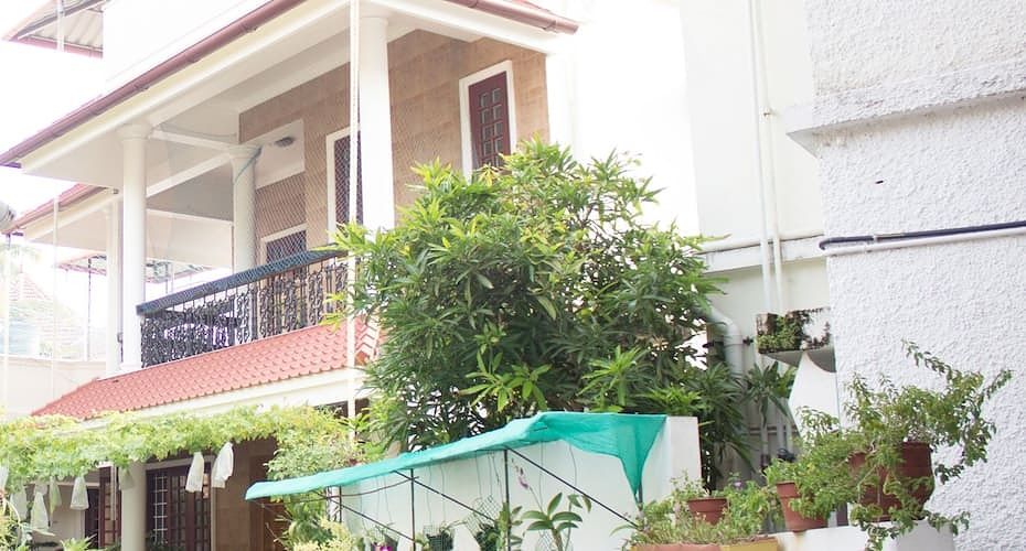 undefined Birds Nest 8