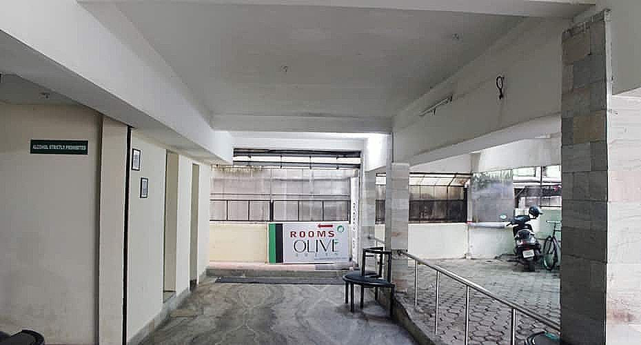 undefined Hotel Olive Green 2