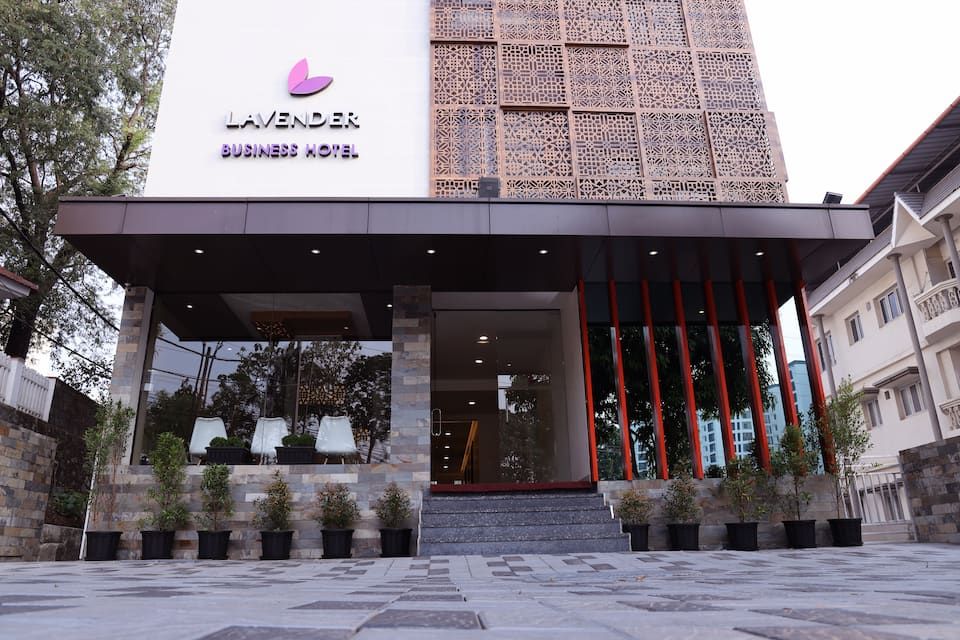 undefined Lavender Infopark 2