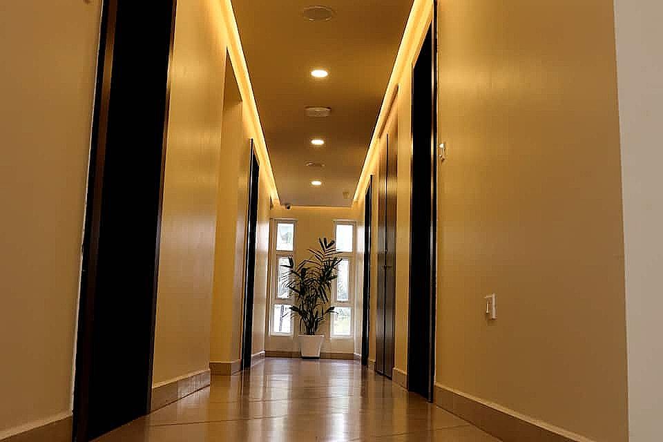 undefined Lavender Infopark 4