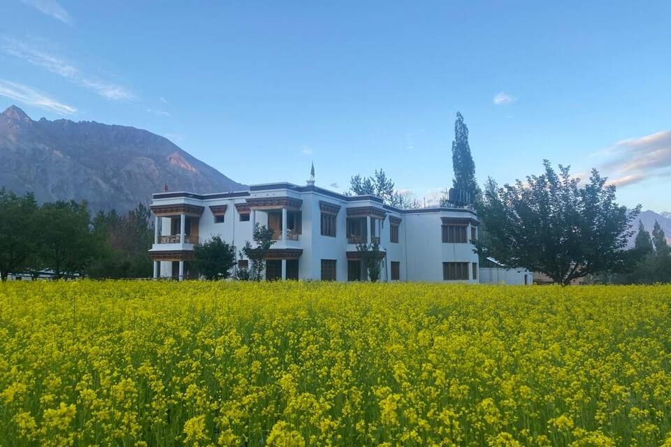 undefined Hotel Snow Leopard 3