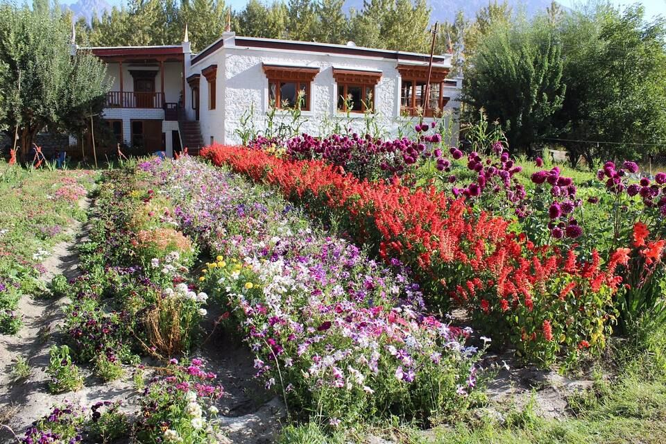 undefined Hotel Snow Leopard 9