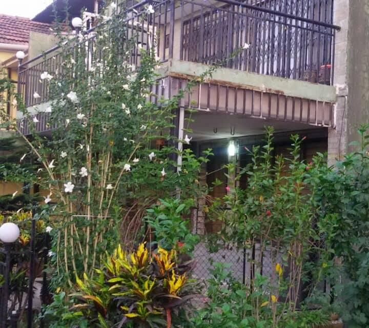 undefined Near To Nature Accommodation with Scenic Beauty