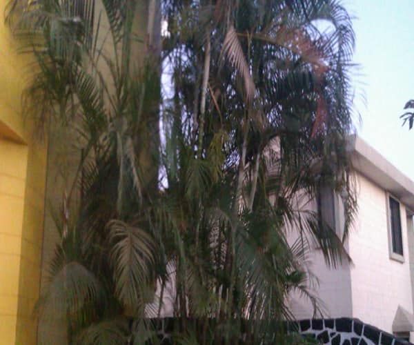 undefined Platinum Square 8