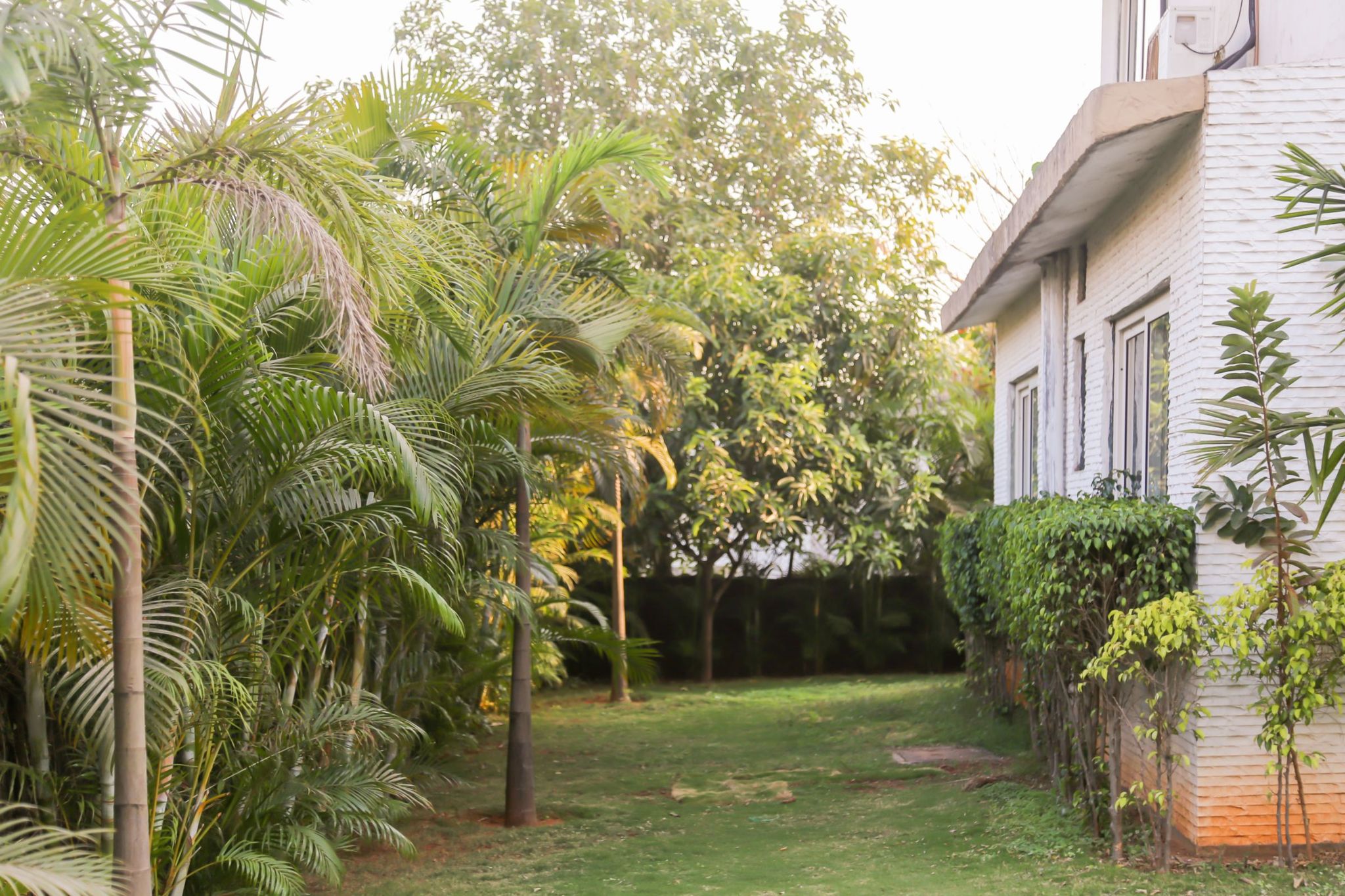 undefined Platinum Square 7