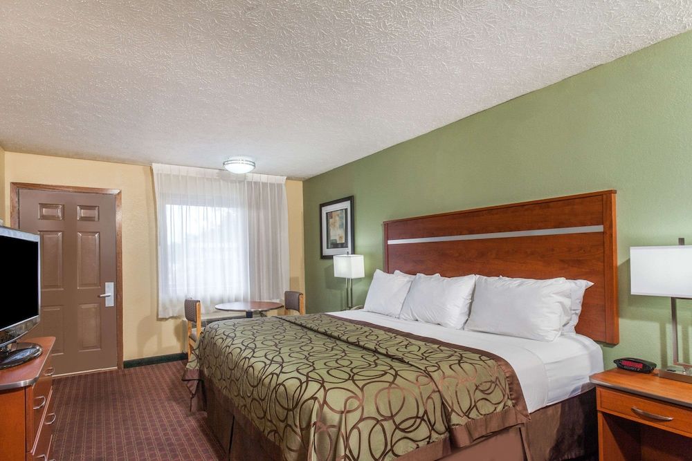 Room, 1 King Bed