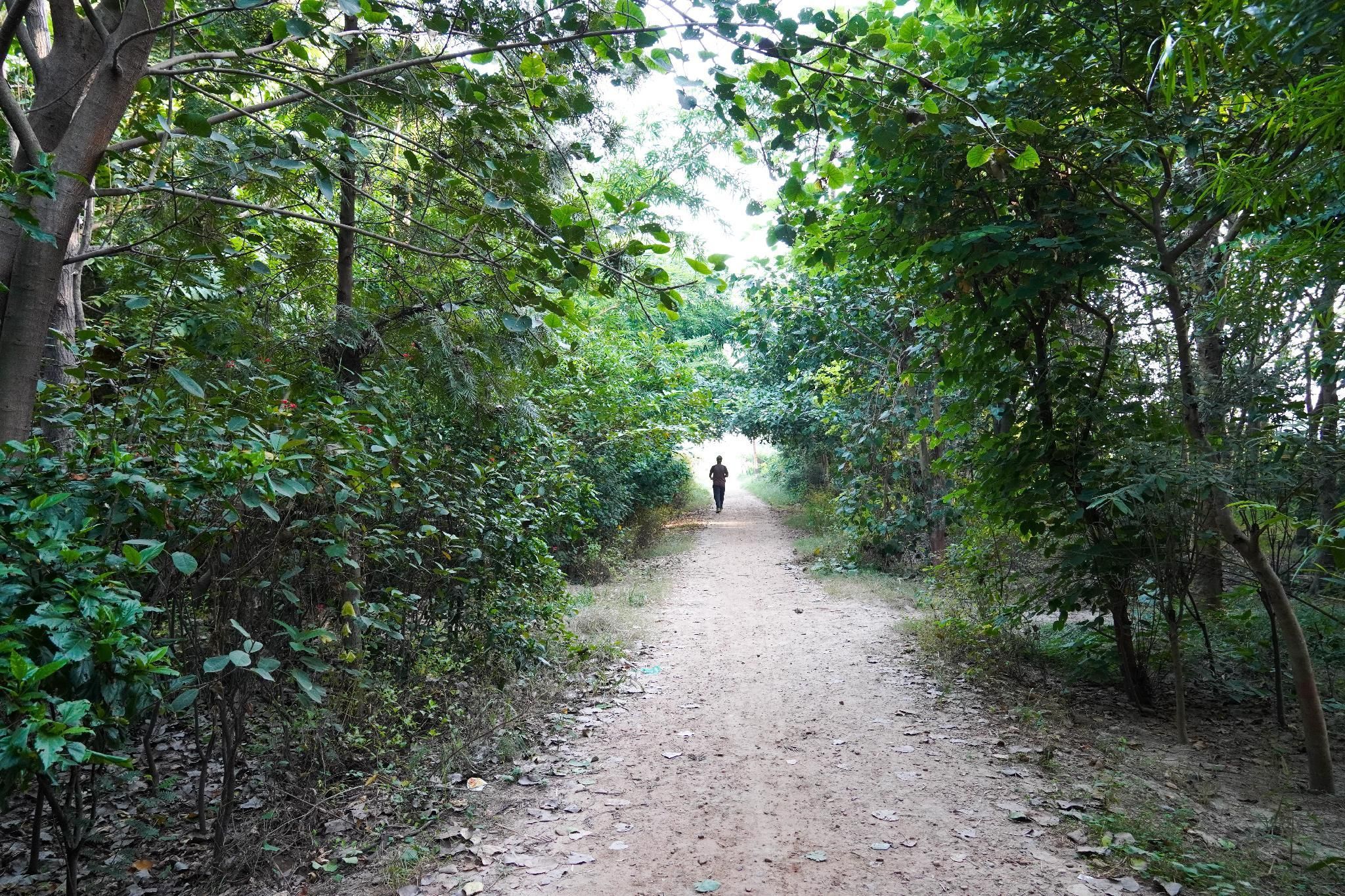 undefined Arcade Inn 4