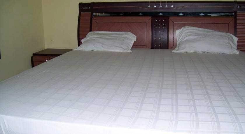 undefined Hotel Ramsons Palace 5