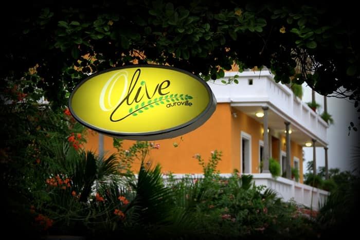 undefined Poppys Olive de' Villa 7