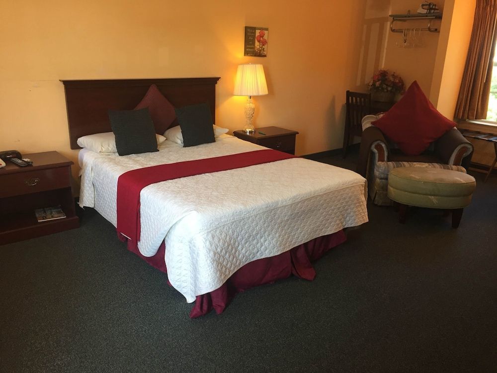 Room (Single 1 Queen Bed - No Breakfast)