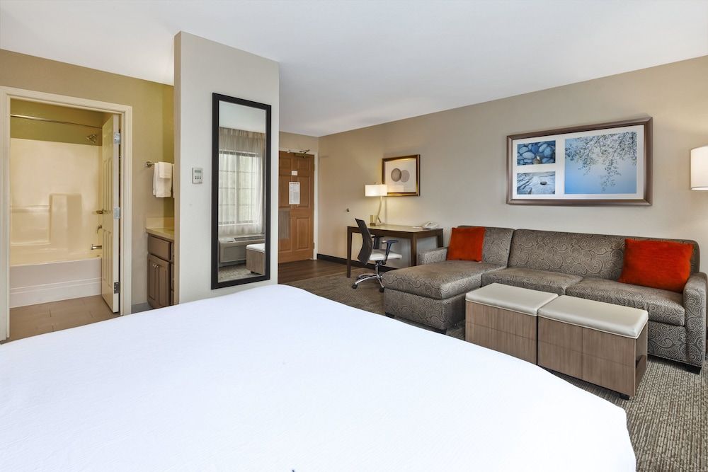 Studio Suite, 1 Queen Bed with Sofa bed, Kitchen