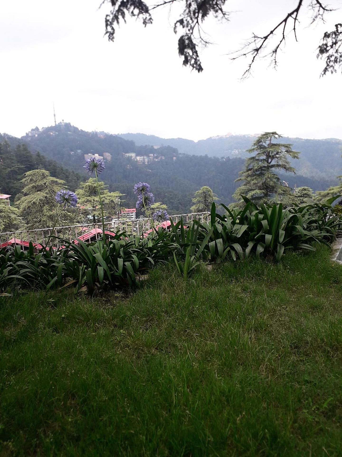 Hotel Lords Regency