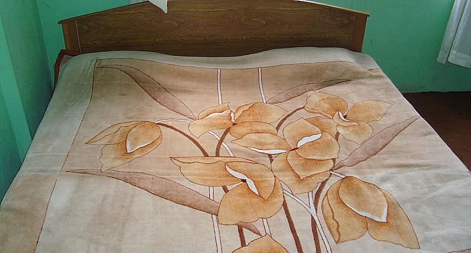 Standard Bedroom View