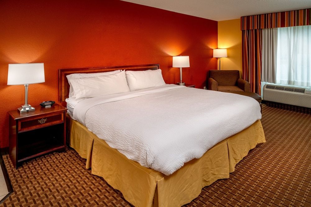 Suite, 1 King Bed with Sofa bed