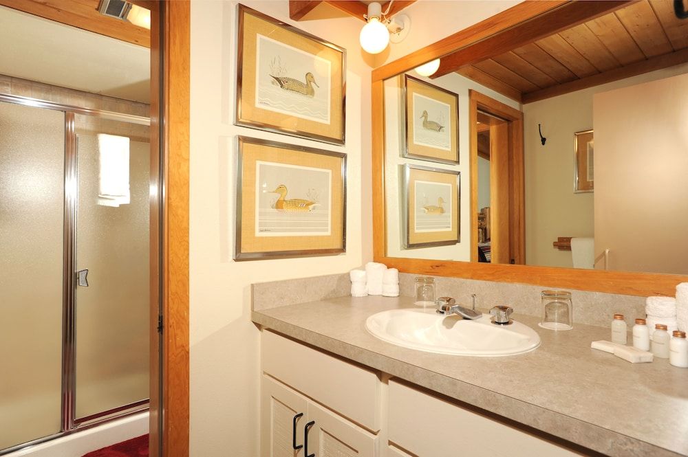 Evergreen Condominiums by Keystone Resort Condo, 1 Bedroom 8