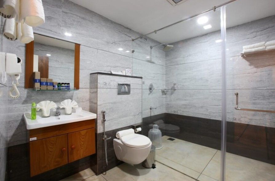 Hotel Ashok International Deluxe Double Room 4