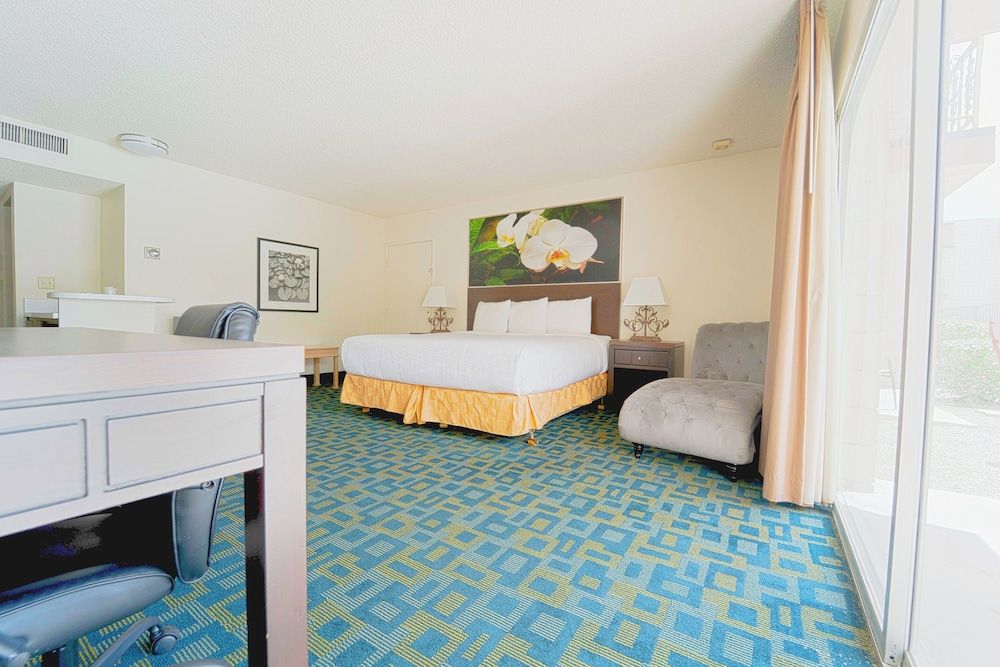 Room, 1 King Bed