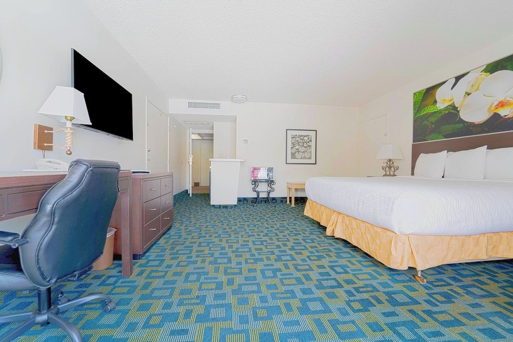 Room, 1 King Bed