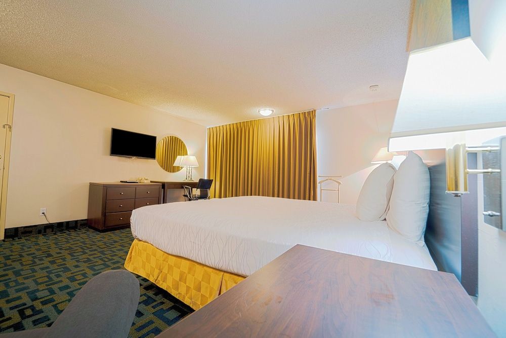 Room, 1 King Bed, Poolside