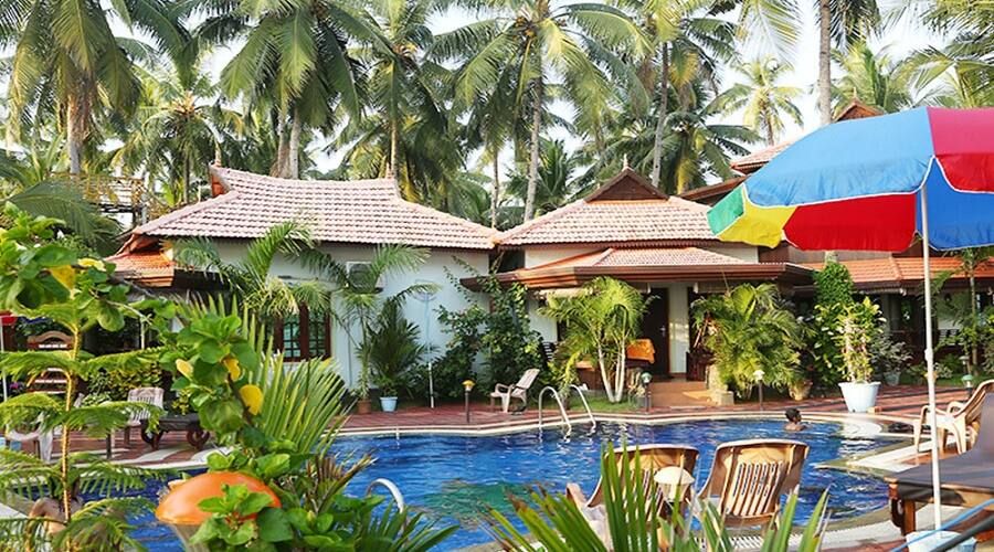 Swimming Pool View