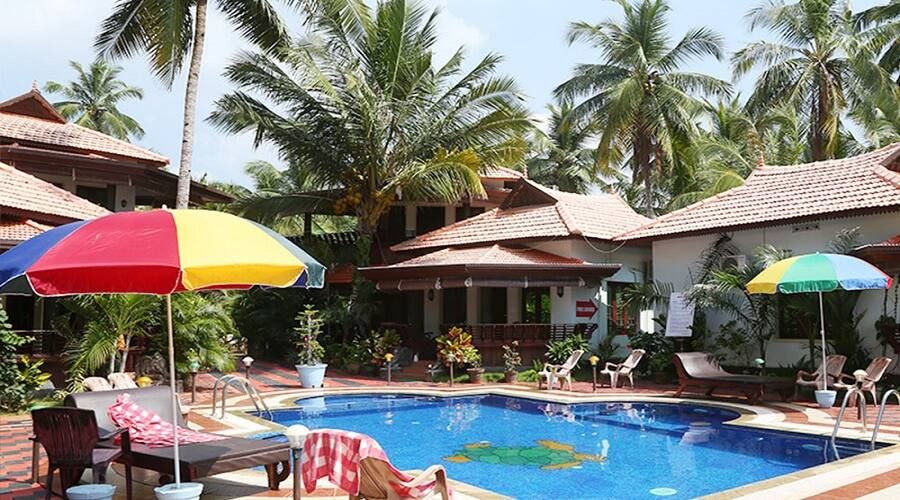 Swimming Pool View 1