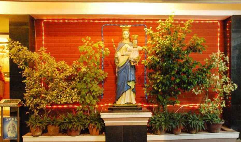 undefined Hotel Picnic 5