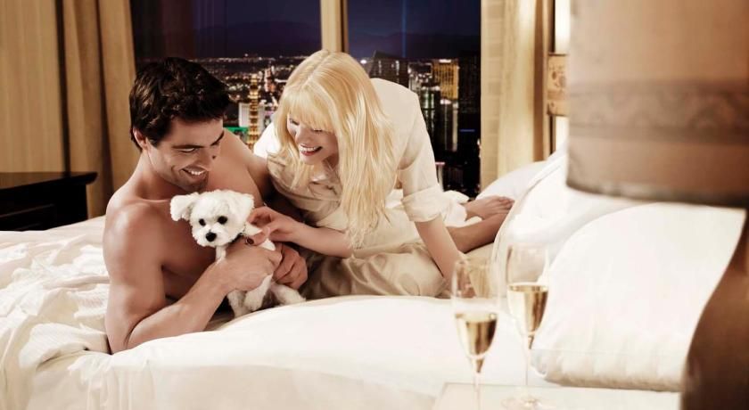 Trump International Hotel Las Vegas Superior King Room 3