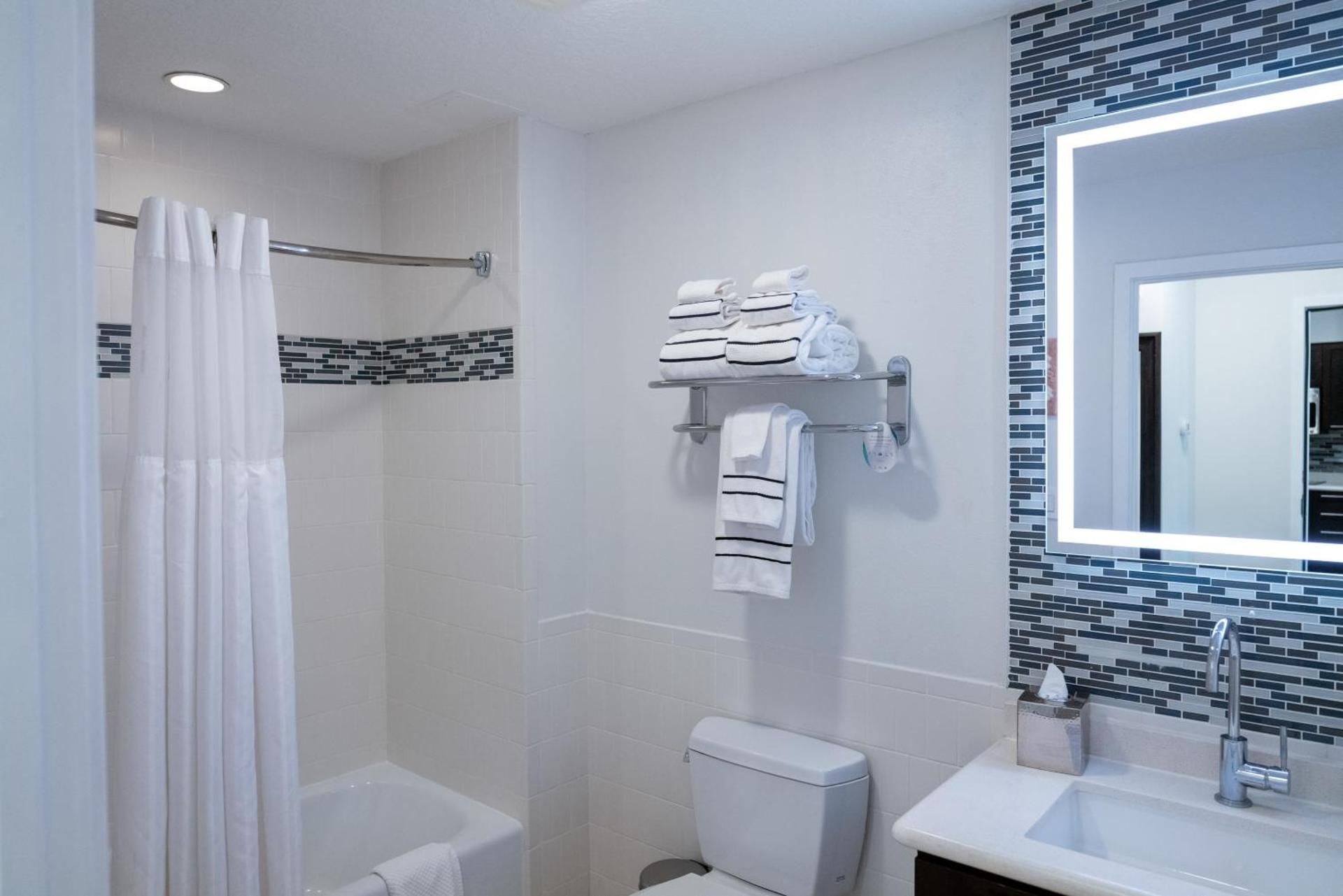 The Level Wellness One Bedroom Suite