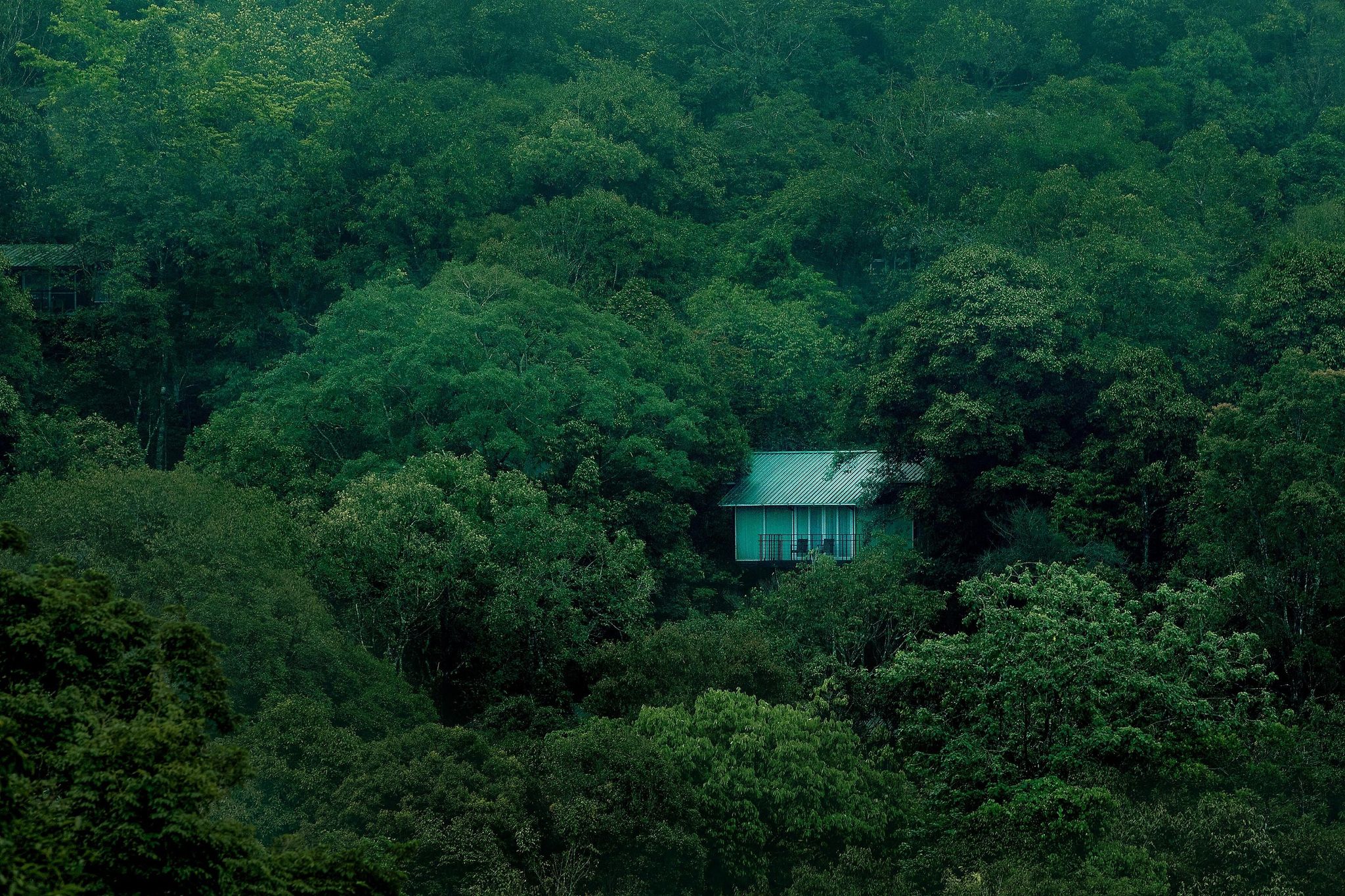 undefined Wayanad Wild - Rainforest Lodge by CGH Earth 2