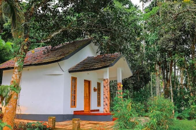 Wayal Wayanad Farm Resort 3