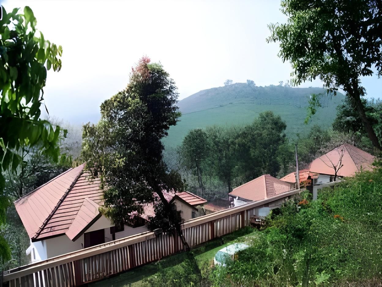 Planet Green Plantation Resorts Deluxe A/C Room 8