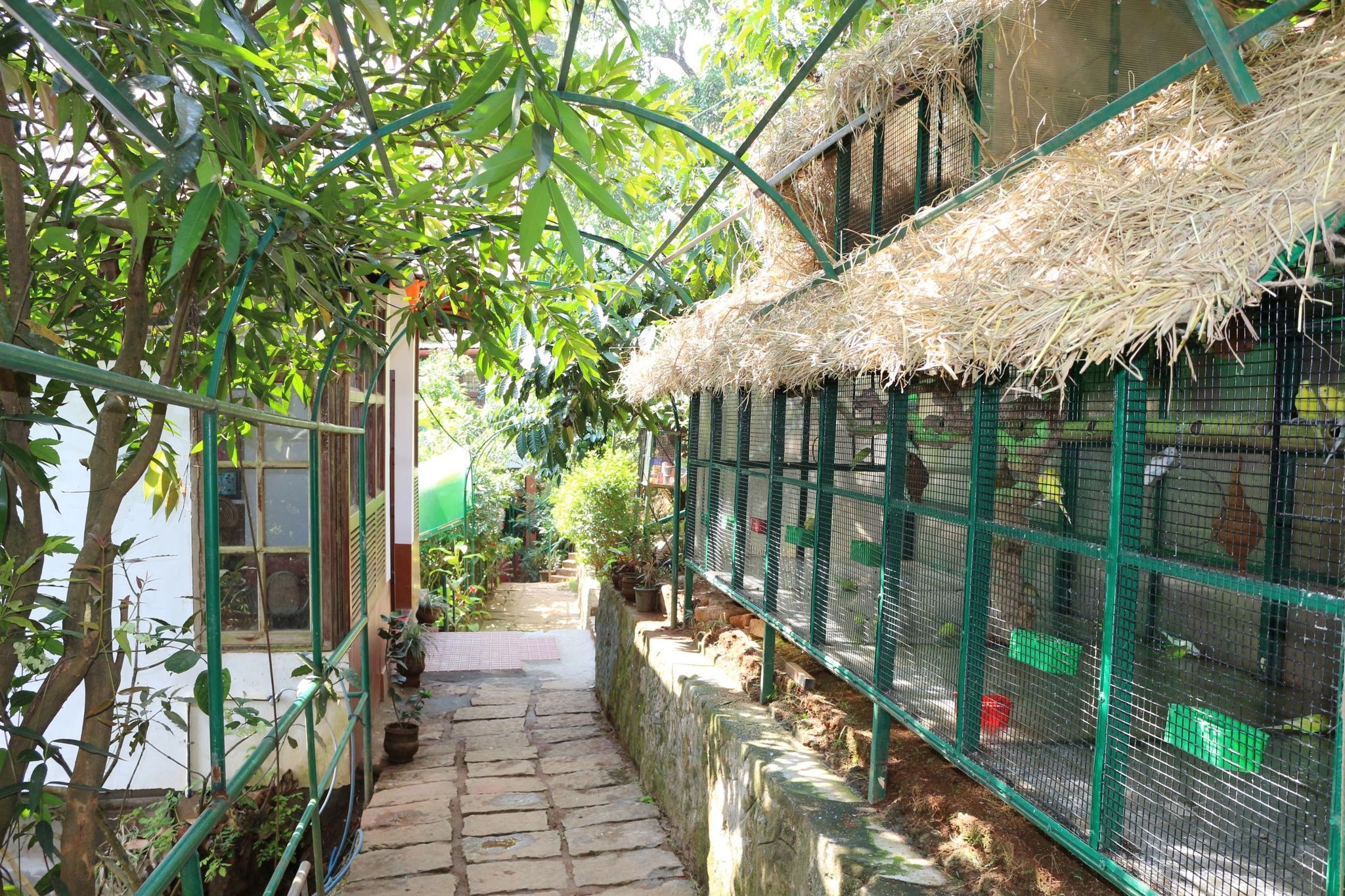 undefined Planet Green Plantation Resorts 9