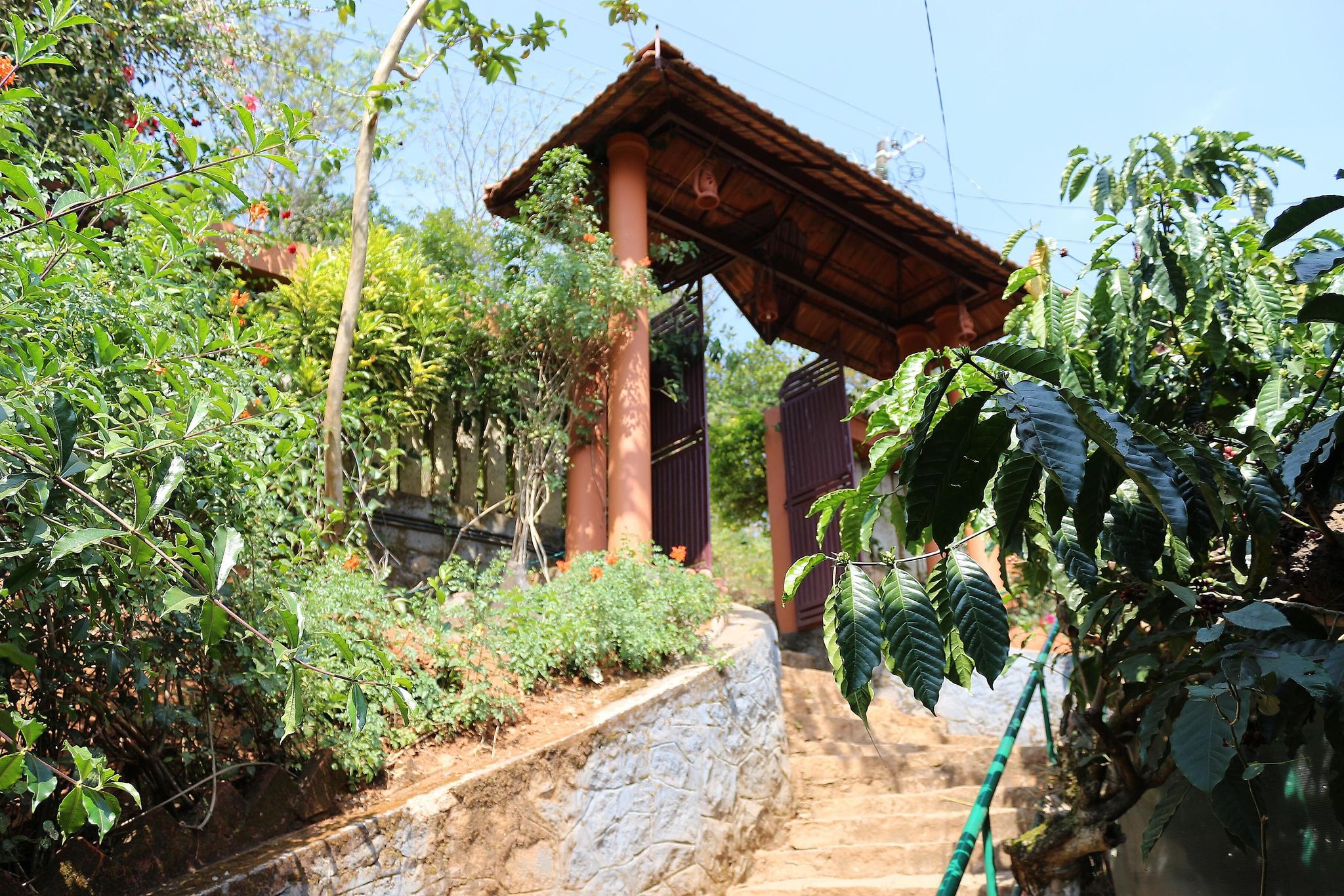 undefined Planet Green Plantation Resorts 10