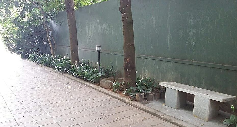 undefined Green peace Home 8