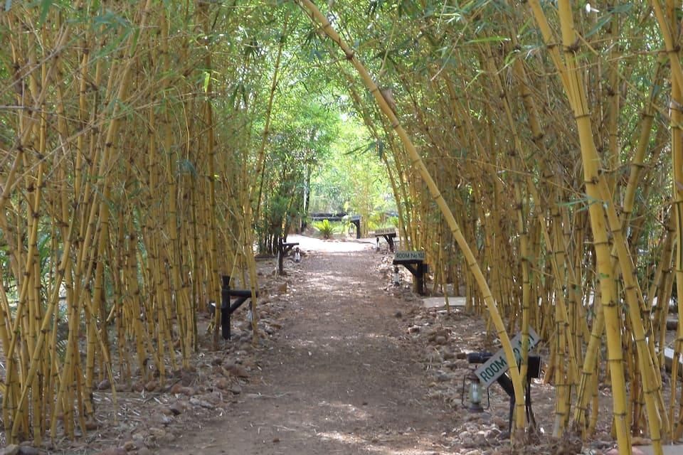 undefined Hotel Kanha 8